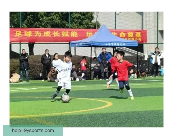 北京业余足球队的成长与城市青少年足球文化发展探索